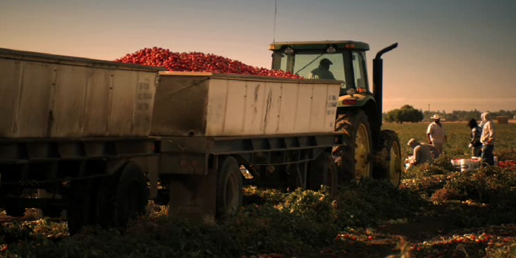 Muir Glen original farm