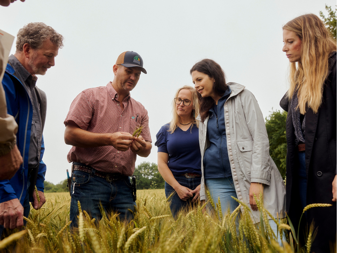 General Mills, ADM, Walmart Partner to Accelerate Regenerative Agriculture Across 40,000 Midwest Wheat Acres